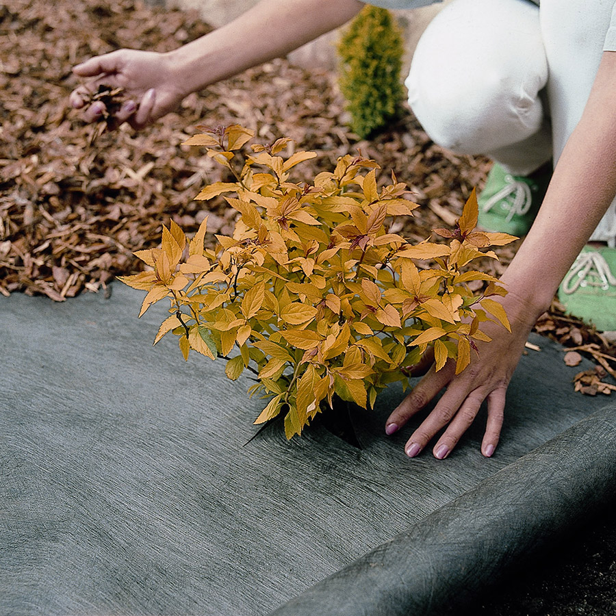 Plantex Patio Belaegningsdug 900X900px